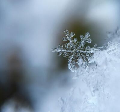 Close up of a snowlflake.
