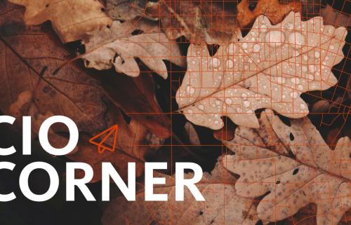 Autumn leaves with text: CIO Corner