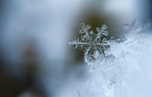 Close up of a snowlflake.