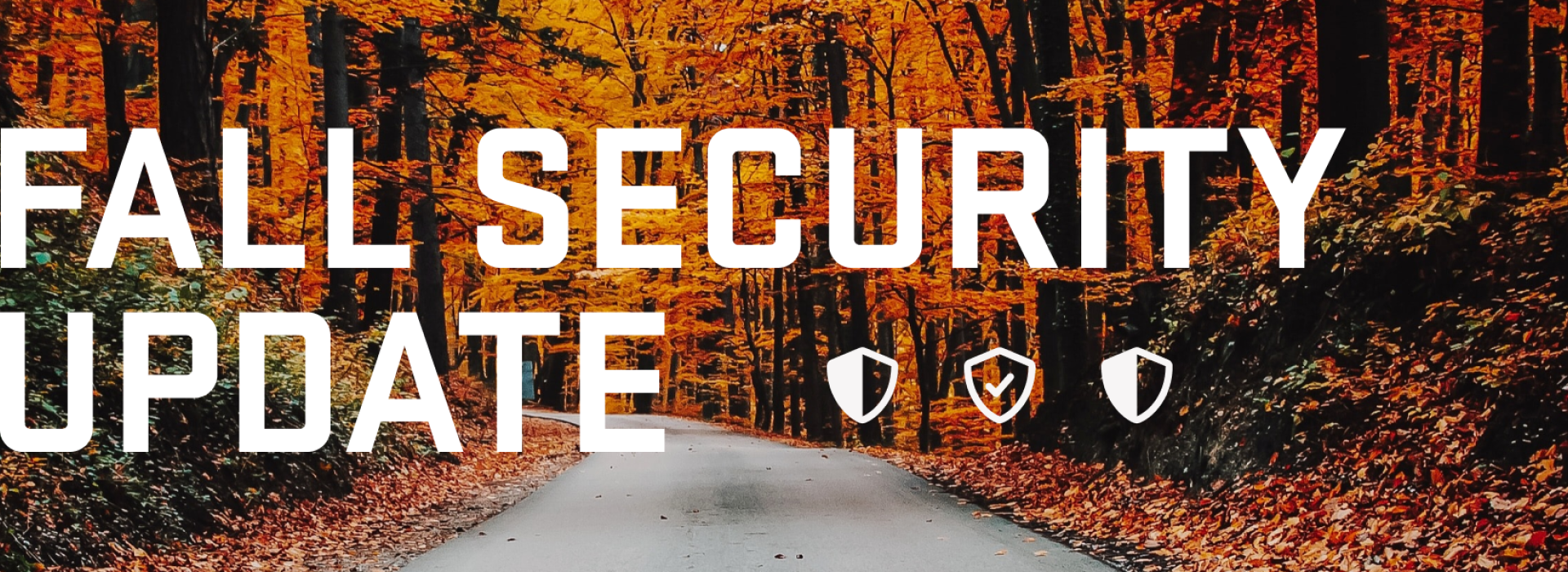 Autumn leaves with text: Fall Security Update