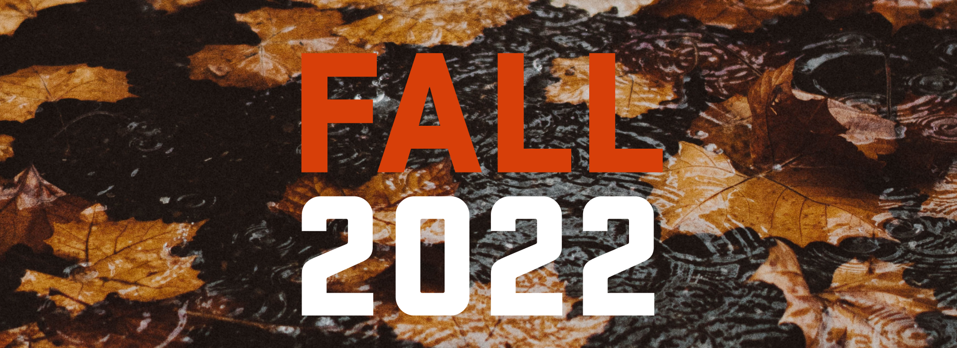 Leaves on the ground with the text: Fall 2022